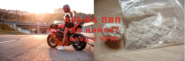 спиды Вяземский