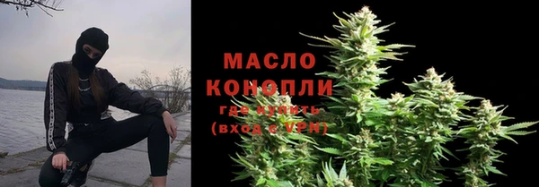 индика Вязьма