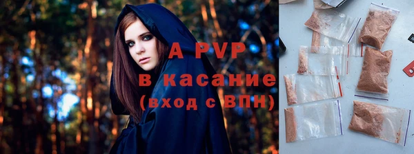 индика Вязьма