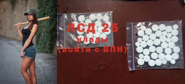 спиды Вяземский