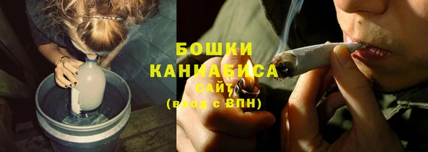 индика Вязьма