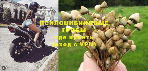 индика Вязьма