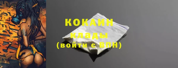 спиды Вяземский