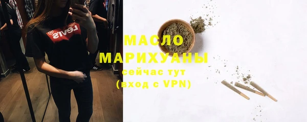 индика Вязьма