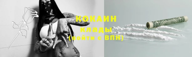 спиды Вяземский
