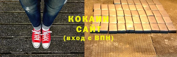 индика Вязьма