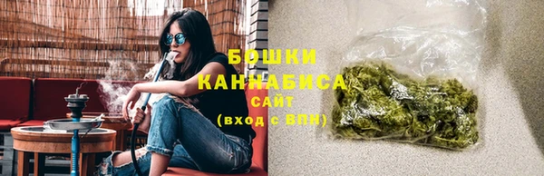 индика Вязьма