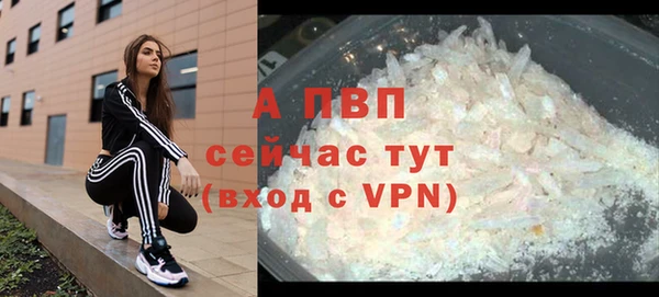спиды Вяземский