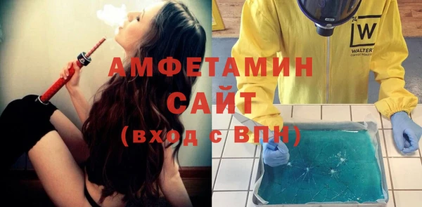 индика Вязьма