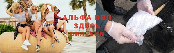 индика Вязьма